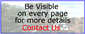 advertise here ad.png