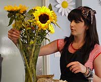 daisys in the park