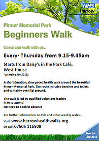 healthwalk2013