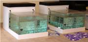 fishspa