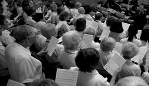 Harrow Harmony