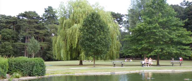 Memorial Park 09