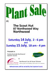northwoodplantsale