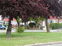 phonemastprotestpinnergrove