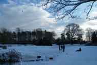 parkpondsnow