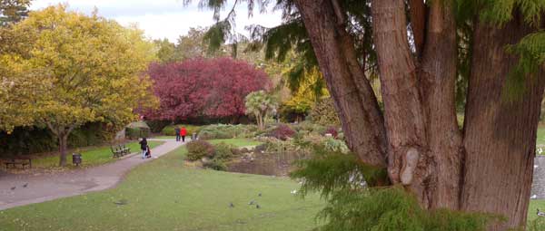 Autumn Pinner 2010