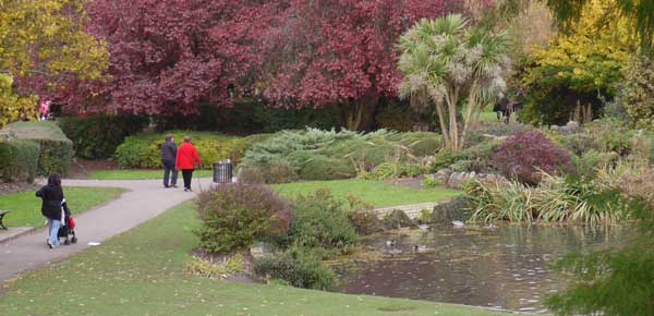 Autumn Pinner 2010