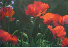 pinner-sc-aug- winner - 2011-006.jpg