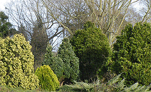 Pinner Memorial Park