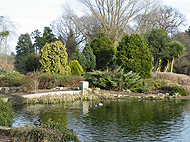 Memorial Park