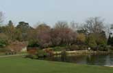 pinnermemparkspring