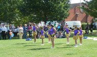 pinnervillageshow