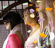 summer of love dnk 