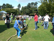 tugofwar1.jpg