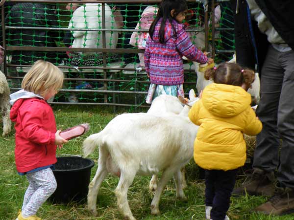 pinner-st-george-pet2-lg-.jpg