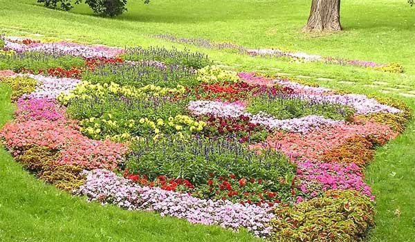 clive-short-flower-bed-lg-a.jpg