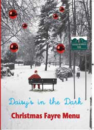 daisyxmascover